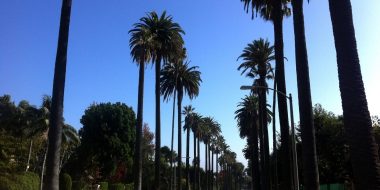 Kalifornia: LOS ANGELES s odletom z Viedne za parádnych 298€